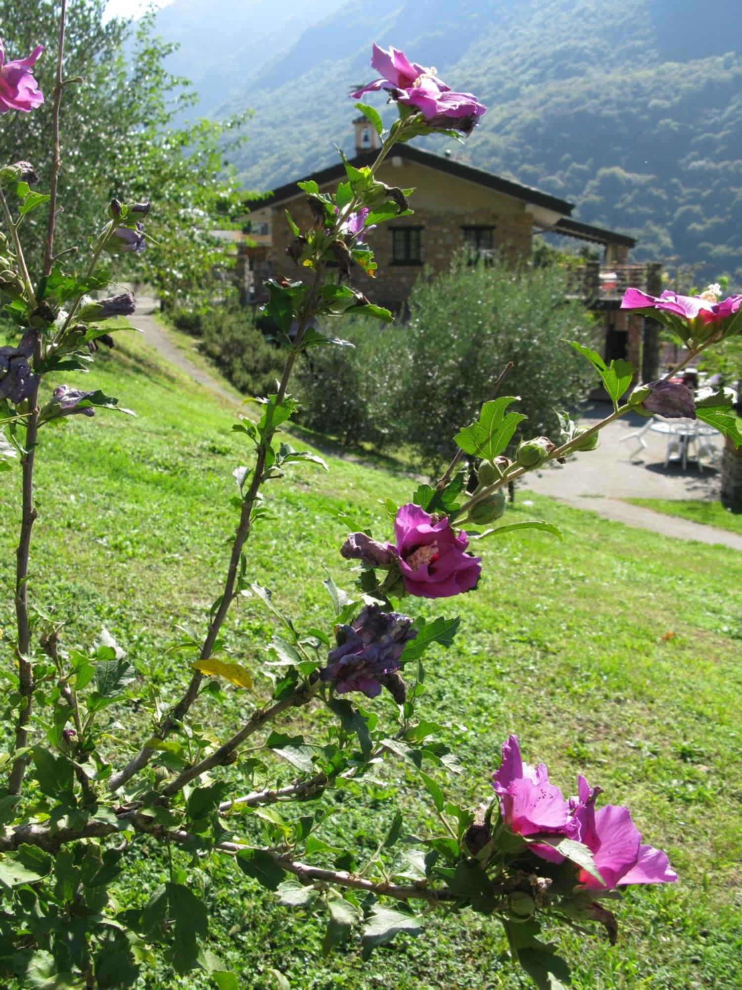 Chalet Della Rota Marone Exterior photo